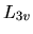 $L_{3v}$