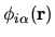 $\phi_{i\alpha}({\bf r})$