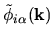 $\displaystyle \tilde{\phi}_{i\alpha}({\bf k})$