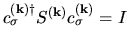 $c^{(\bf k)\dag }_{\sigma}S^{(\bf k)}c_{\sigma}^{(\bf k)}=I$