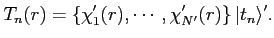 $\displaystyle T_n (r) = \left\{ \chi'_1(r), \cdots, \chi'_{N'}(r) \right\} \vert t_n \rangle'.$